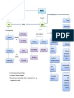 Mapa Conceptual SNB