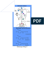 Adrenergic Drugs I