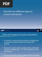 Personal Trainer Flashcards w Theme