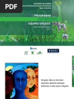 Equipes Eficazes Professor