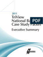 2011 TriView Executive Summary