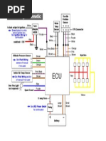 Ecu Wiring