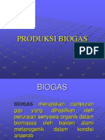 Bio Gas Indonesia