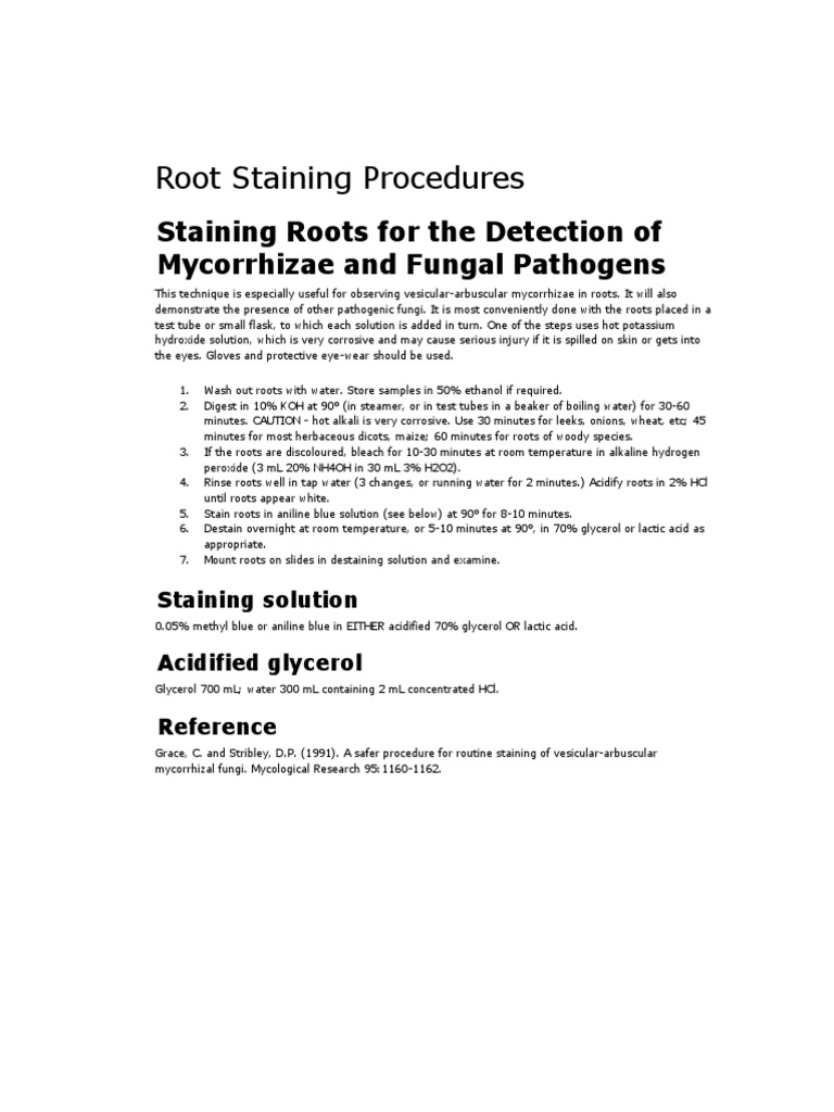 Root Staining for Mycorrhizae Detection | PDF