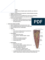 Sistema Renal