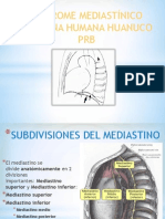 Sindrome Mediastinico Percy Rb