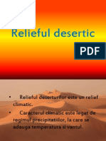 Relieful Desertic
