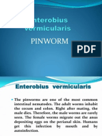 7 Pinworm