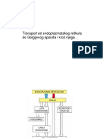 1.od Golgija Do Membrane