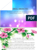 Cadrul Didactic Ppt