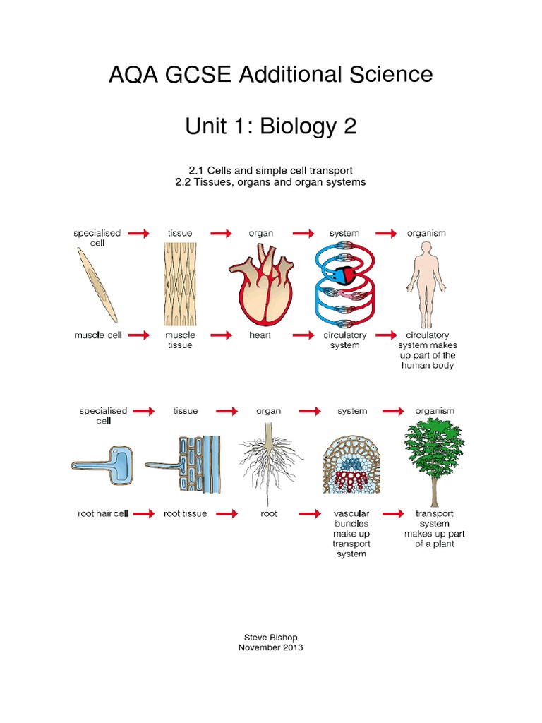 AQA GCSE Additional Science Unit 1: Biology 2: 2.1 Cells and Simple ...
