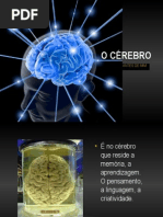 2-crebro-111110093720-phpapp01