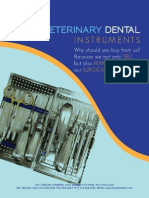 Veterinary Dental Flyer