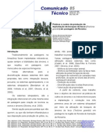 Práticas e custos de produção de implantação de bosques de tecas (Tectona grandis) em pastagens de Roraima