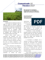Recuperação de pastagens degradadas em propriedade na região da Confiança em Roraima