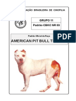 American Pitbull