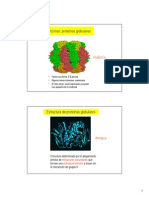 ENZIMAS II 2010.pdf