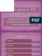 Proect Pentru TIC