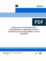 Pautas Para La I,FyES de PIP, Perfil