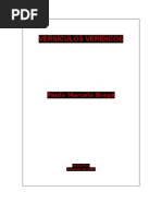 VERSÍCULOS VERÍDICOS 