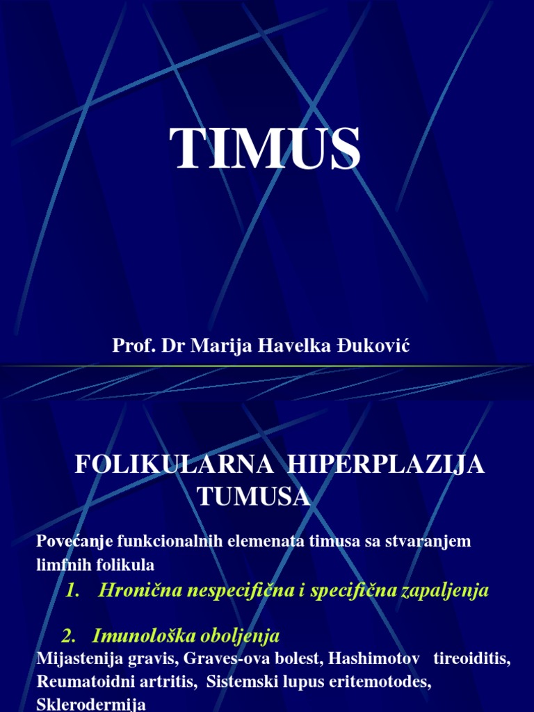 Timus P | PDF