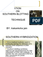 Southern Hybridization