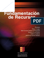 Fudamentación de los Recursos - ENJ