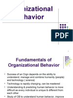 Organizational Behavior 1