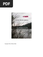 Download Storm by William Badke SN19140693 doc pdf