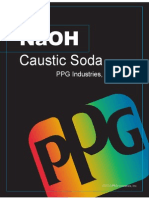 Caustic Soda Manual 2008