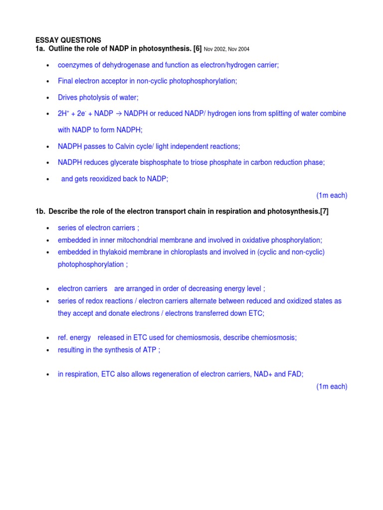 Photosynthesis ACE PDF Photosynthesis Chloroplast