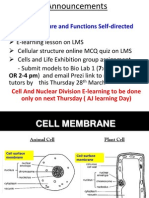 Structure N Functions of CSM