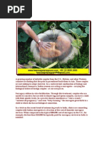 Download Surrogacy India for all by 24x7emarketing SN19143290 doc pdf