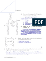 DNA Replication ACE.pdf