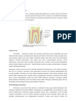 Jaringan Periodontal