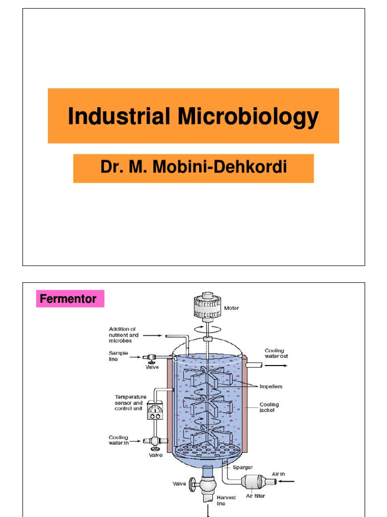 Industrial Microbiology Fermentation Biochemistry