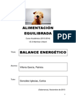 Balance Energetico