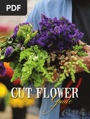 13062 Cut Flower Guide