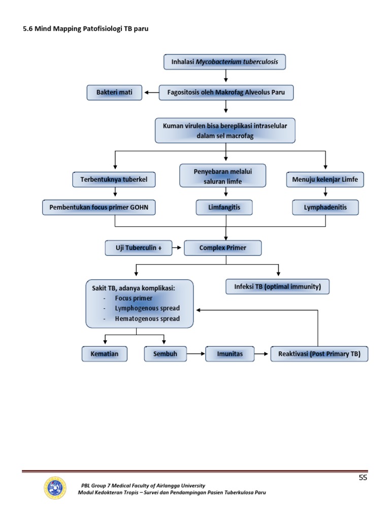 3. Mind Mapping Patofisiologi TB