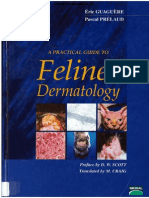 A Practical Guide To Feline Dermatology