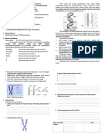 GEN DNA