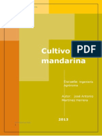 Mandarina 2