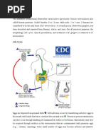Uva Family Questions W Answers Myocardial Infarction - 