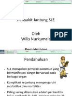 Penyakit Jantung SLE