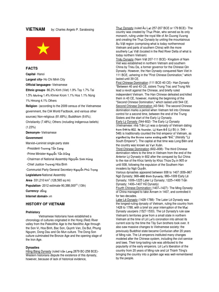 Brief History of Vietnam | PDF | French Indochina | Vietnam