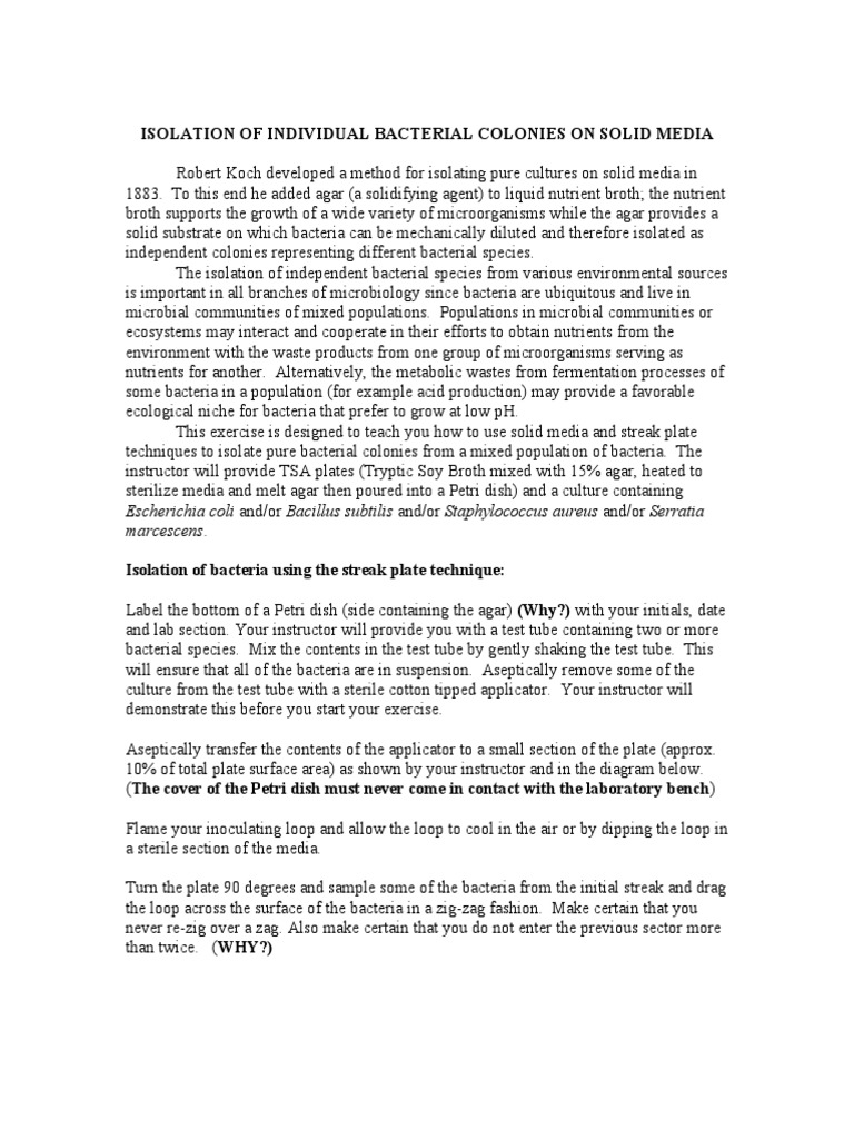 Bacterial Colony Isolation Techniques | PDF | Wellness