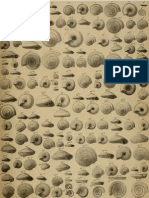 I molluschi dei terreni terziari del Piemonte e della Liguria; F. Sacco, 1892 - PARTE 12 - Paleontologia Malacologia - Conchiglie Fossili del Pliocene e Pleistocene
