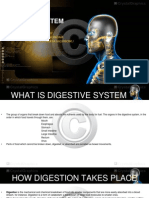 Digestive System: C.Abhiroop Reddy Mrs - Neeraja Rani Madam Kendriya Vidyalaya Gachibowli