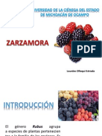 Zarzamora 110712192829 Phpapp02