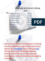 Morfologi Gigi Permanen Rahang Atas